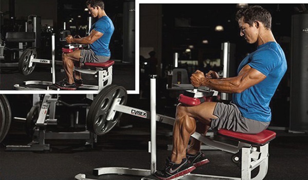 Lý do tập bắp chuối không to được và cách khắc phục